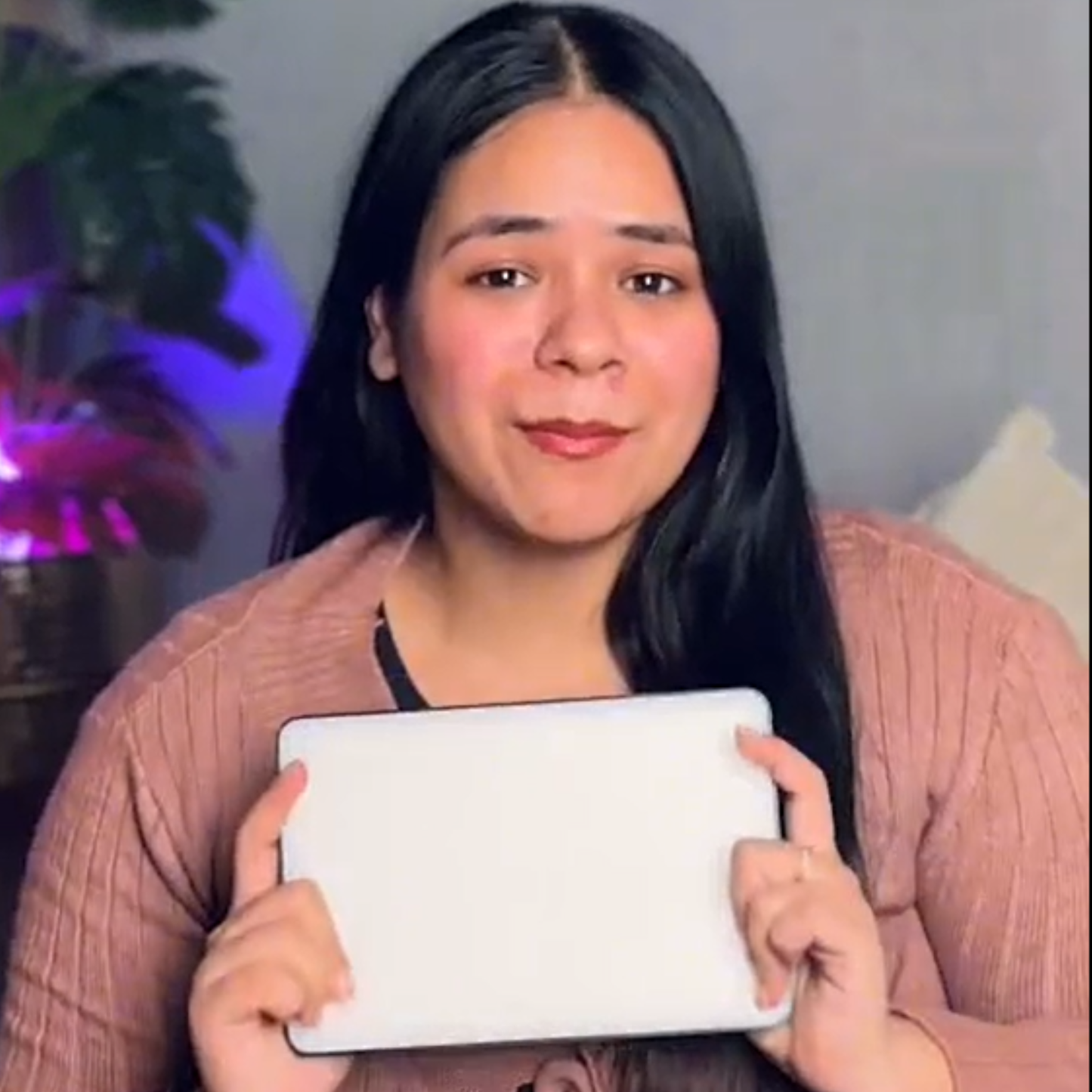 PB-240 LED Video Soft Light Panel